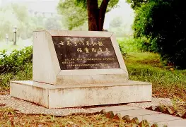球天下体育直播- 这也行？风云突变里昂清晨调整名单尼斯再遭质疑备战全明星赛，塔图姆在德国队比赛中关键助攻